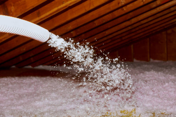 Best Geographic-Specific Insulation Services in Manhattan, IL