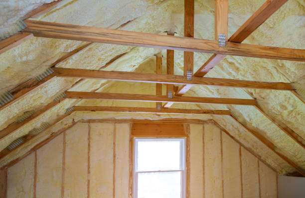 Best Insulation Maintenance and Repair in Manhattan, IL