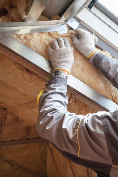 Trusted Manhattan, IL Insulation Contractor Experts