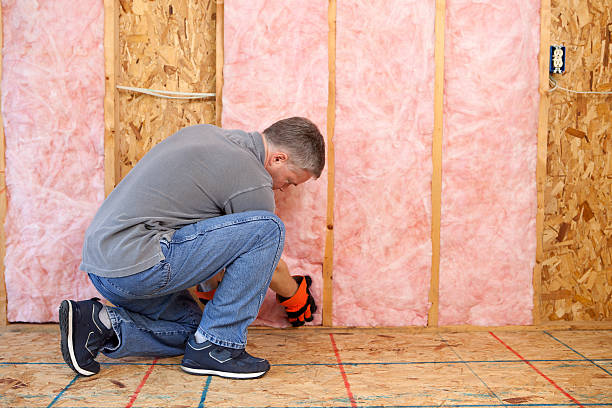 Best Specialized Insulation Services in Manhattan, IL