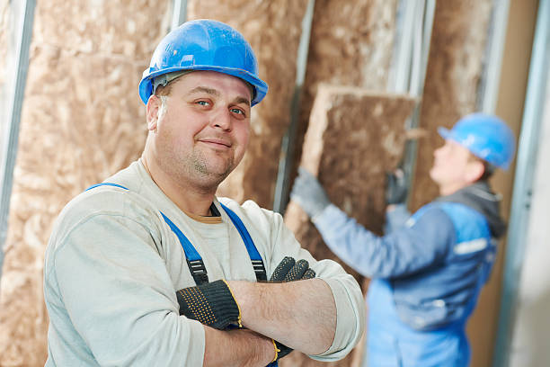 Best Specialized Insulation Services in Manhattan, IL